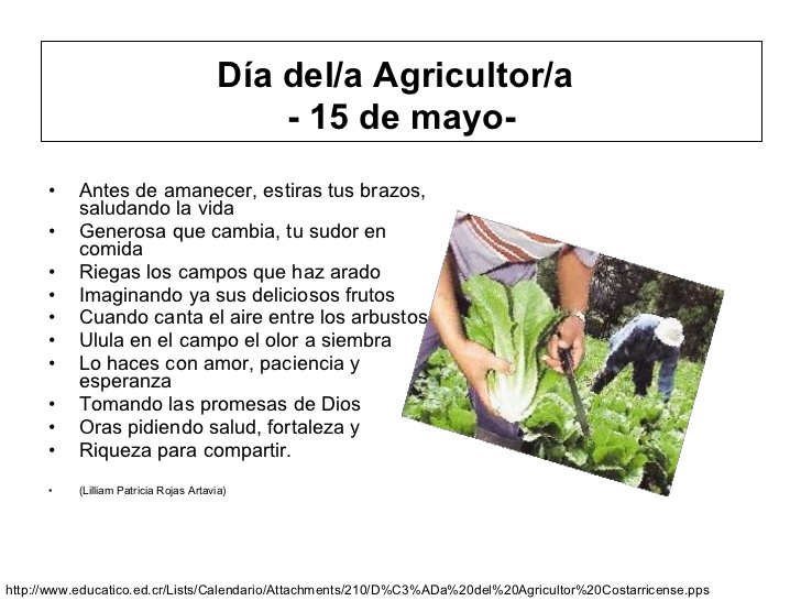 Dia Del Agricultor Costarricense Profe Yano